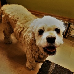 Fabian Henne B2B Snurkk - Gassi Gehen Mit Bello