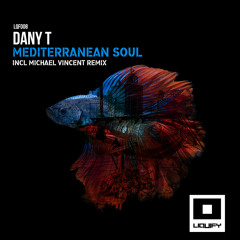 Dany T - Mediterranean Soul (Michael Vincent Remix) [Liquify]