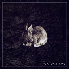 (((О))) - PALE KING (FREE DL)