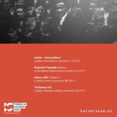 Krzysztof Topolski - Widzący