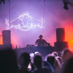 Dtekk at Tauron Nowa Muzyka Festival 2017