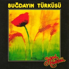 Yeni Türkü -Sonbahardan Çizgiler (Mamak Türküsü)