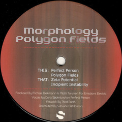 Morphology - Polygon Fields (EE0003)