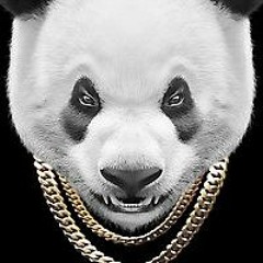 Panda (remix) D'WAY featuring KingKel