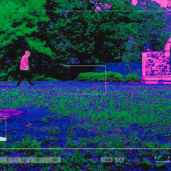 glitched