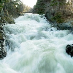 Seems To Feel- Live at J's White Elephant- 11317
