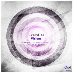 Gvozdini - Visions (Andres W Remix)  -preview-