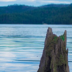 DESPACITO - SAMOAN VERSION