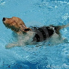 Tread Water 2