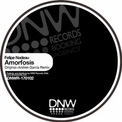 Amorfosis Remix