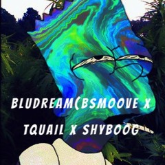 BluDream(BSmoove X $hyBoog X TQuail)