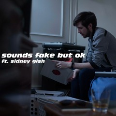 Sounds Fake But OK (ft. Sidney Gish)