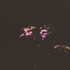 Solo Quiero Estar Con Vos