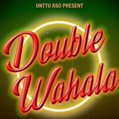 Double Wahala