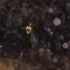 Simple Things(LOOKING FOR VOCALS)