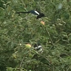 Keep On (produced by kutflow)