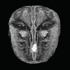 Die Gesänge des Maldoror - Zweiter Gesang