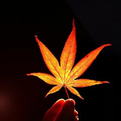 Mi Gente Remix Dancehall By Dj Supra (kameHouseProd)