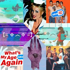 Blink 182 vs Porter Robinson - What's My Age Again (Spryte Bootleg) x Flicker | AUXYMORONS Edit