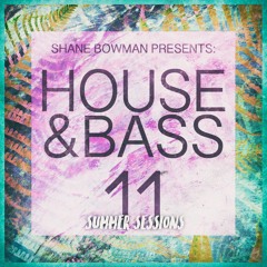 House & Bass 11 'Summer Sessions'
