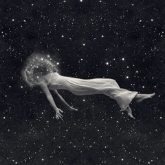 Black Orchid Inflorescence