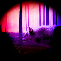 Chains (Wvrl0rd edit)