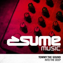 Tommy the Sound - Need U (Original Mix)