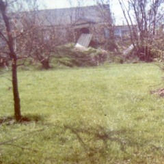 Ingram Valley 1978