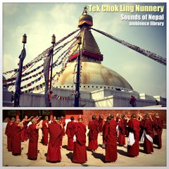 Tek Chok Ling Nunnery / Sounds of Nepal Library Preview