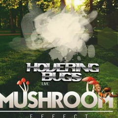 Hovering Bugs - Mushroom Live (Free Download)