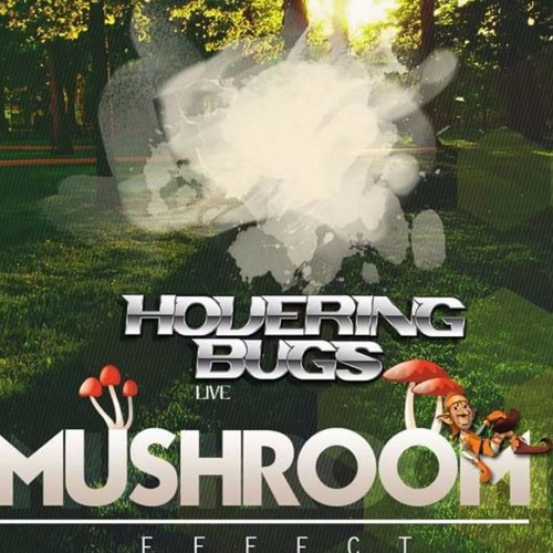 Hovering Bugs - Mushroom Live (Free Download)