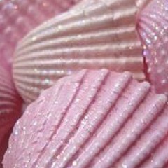 Malportado Kids - Fantasma  (Remix Of Ekremov Čoček by What Cheer? Brigade)