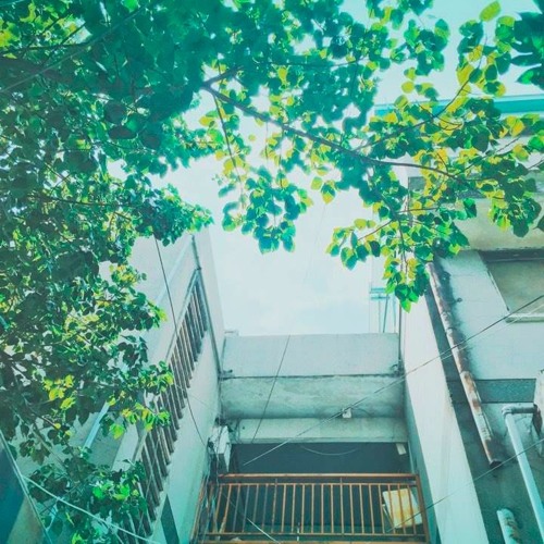 NgayXanh (Guitar original)