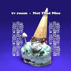 tv room - Not That Nice