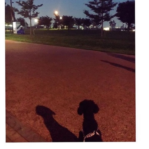 Stream When You Wish Upon A Star By 大谷桃 Listen Online For Free On Soundcloud