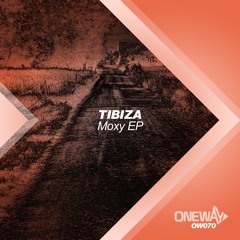 Dreamer (Original Mix)
