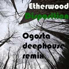 Etherwood - Disposition (Balthazar Cojedes deep house remix)
