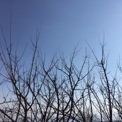 I Will Always Love You (Cover)