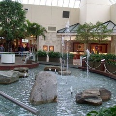 Drowning in a mall fountain
