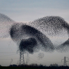 ITS DRONES!! EYES TO THE SKY!! MAXIMUM FLIGHT ALTITUDE REACHED!