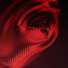 I Speak Machine - Shame