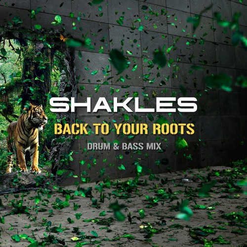 Back To Your Roots