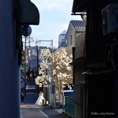 A Fish Is Bigger Than A Shark