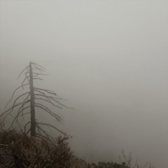 Searching Feat. Sarah Wallin