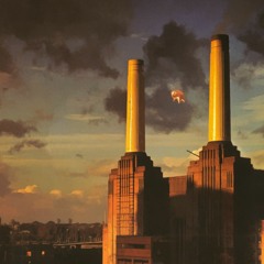 Acoustic cover of Pink Floyd's "Pigs" by Randy Benzie