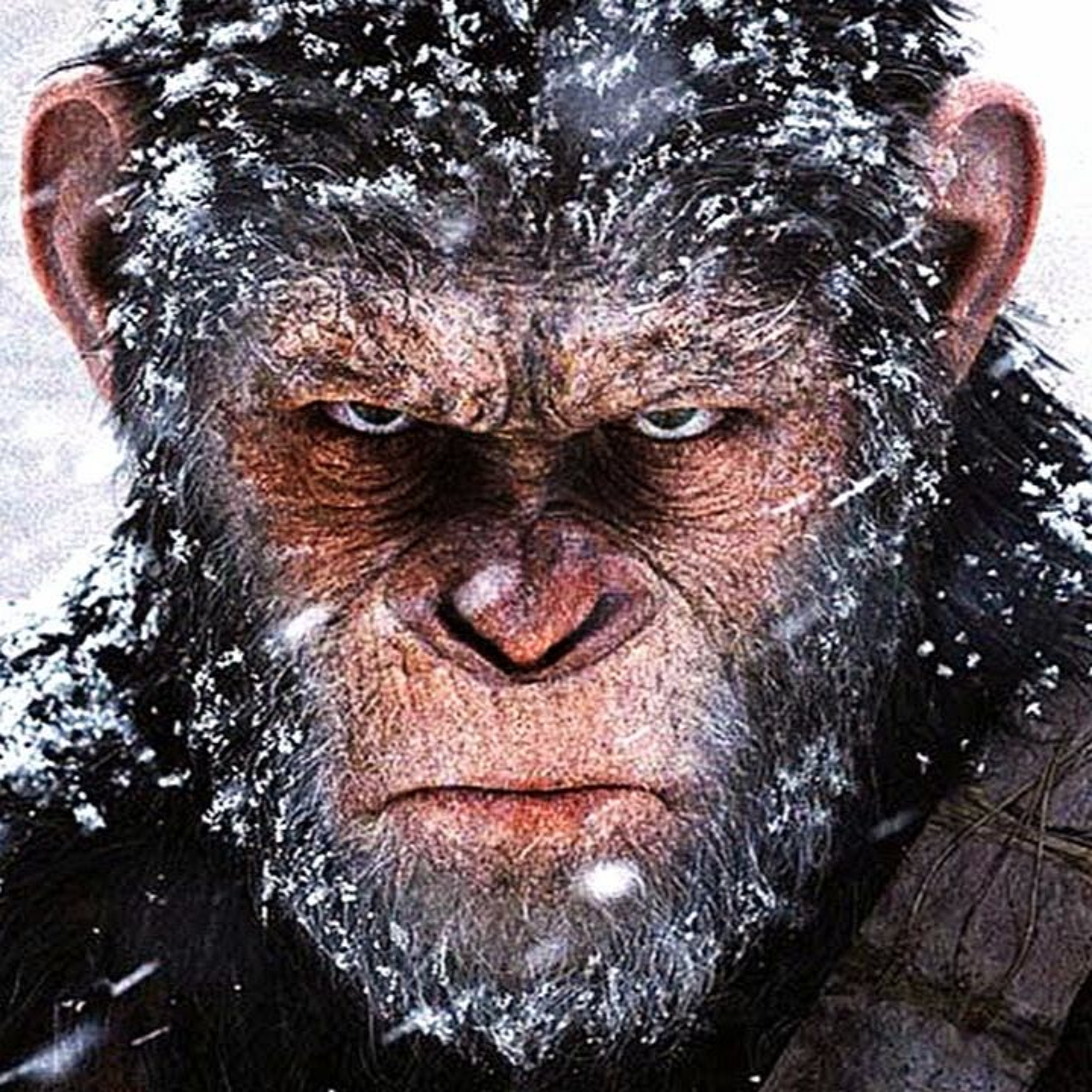 #13 Rise/Dawn of the Planet of the Apes, Inhumans Trailer episode artwork
