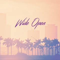 Wide Open (Chemical Brothers cover)