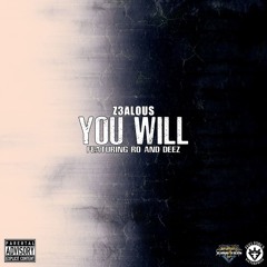 You Will feat. Ro and DeeZ