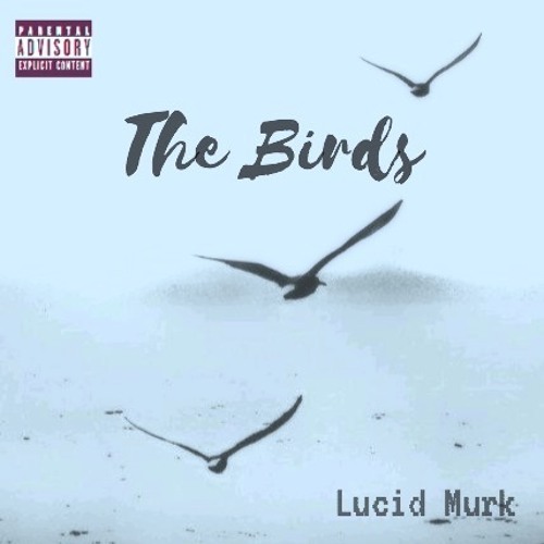 The Birds (prod. by Lucid Murk)