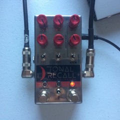 Es 125 Acoustically Miked